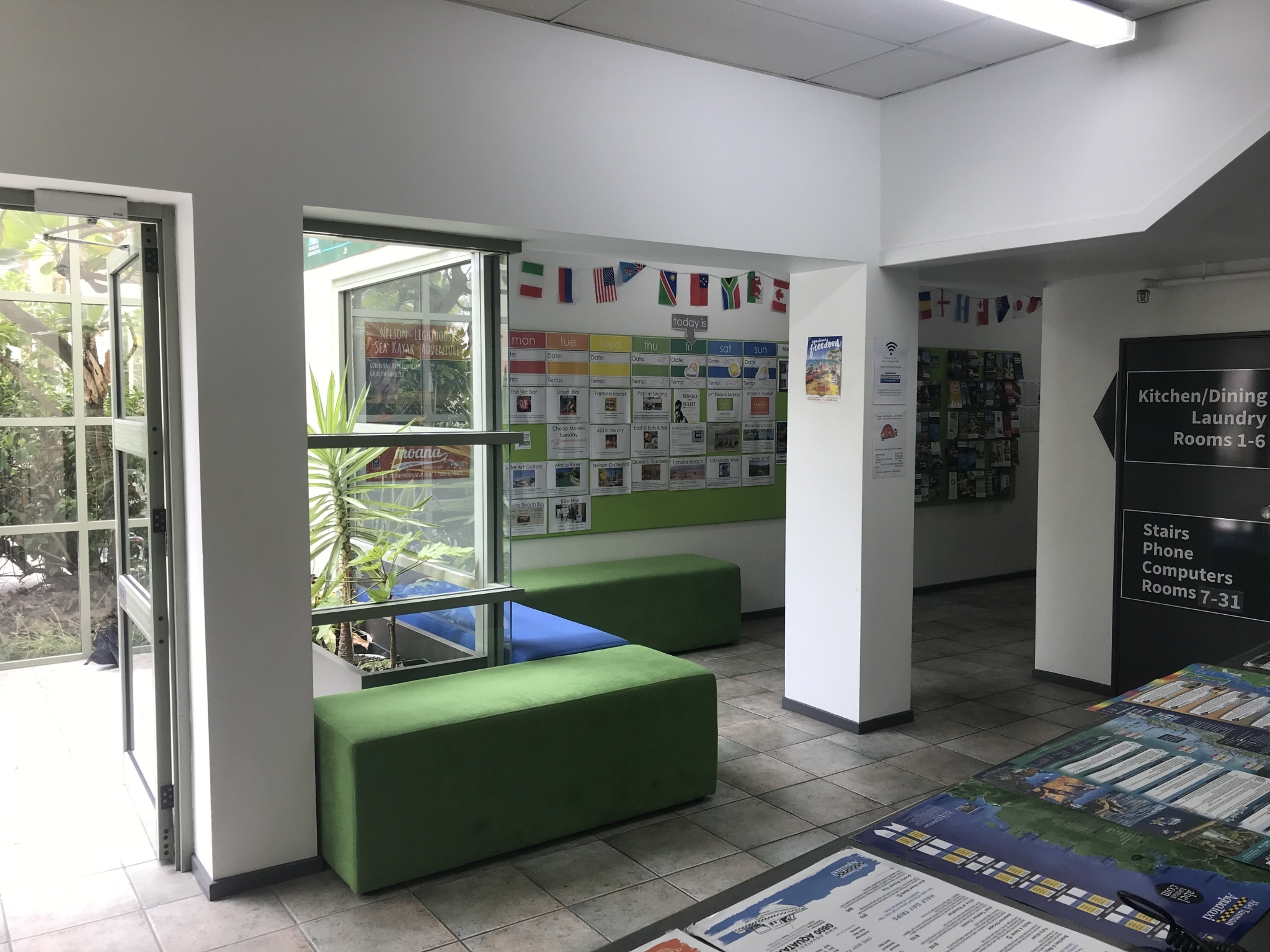Hostel entrance and reception lobby featuring a brochure wall, indoor plants, and abundant natural sunlight.